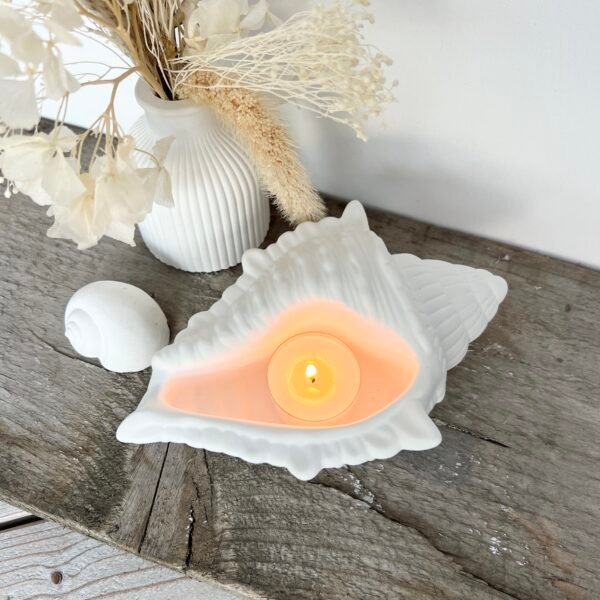 Muschelschale – Bild 2