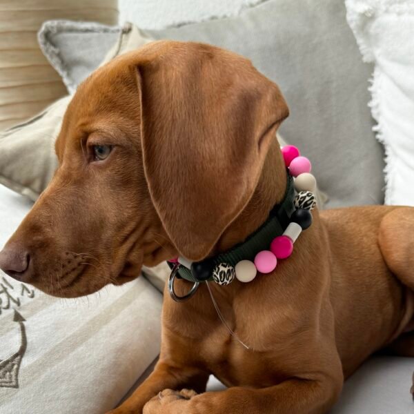 Schmuckband-Zeckenband "Cleo" – Bild 2