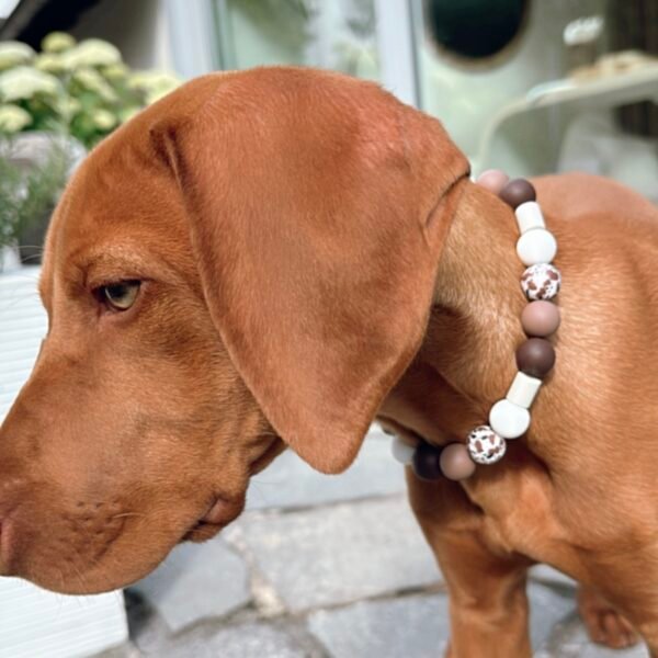 Schmuckband-Zeckenband für Hunde "Brownie" – Bild 2