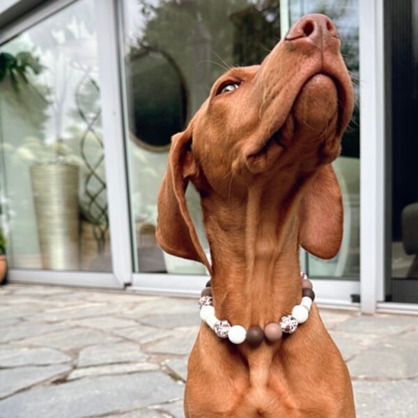 Schmuckband-Zeckenband für Hunde "Brownie" – Bild 3