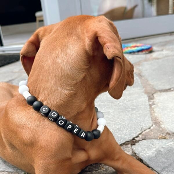 Schmuckband-Zeckenband "Blacky" personalisiert – Bild 3