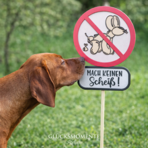 PooPii Keine Hundetoilette | Gartenschild
